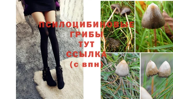 молекула духа Краснослободск