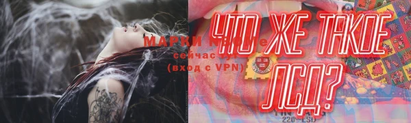 молекула духа Краснослободск