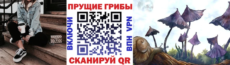 Купить где  Сосногорск  Галлюциногенные грибы MAGIC MUSHROOMS 